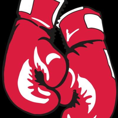 AR BOXING 17 RC Thumbnail