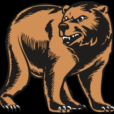 BAW BEAR 09 RC Thumbnail