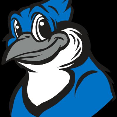 AR31 BLUEJAY 02 RQC Thumbnail