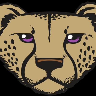 BAW CHEETAH 14 RC Thumbnail