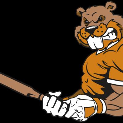 AR4 BEAVER 05 RQC Thumbnail