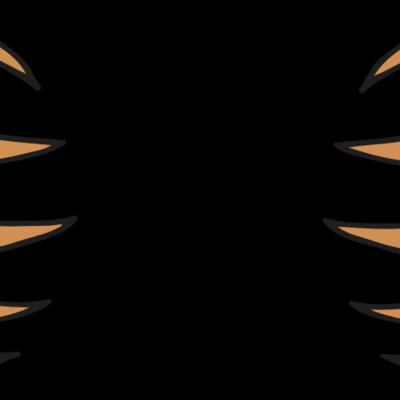 AR BEAR 05 RC Thumbnail