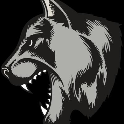 BAW COUG PANTH 06 RC Thumbnail