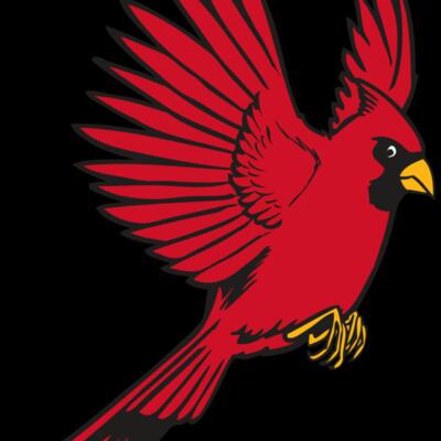 BAW CARDINAL 19 RC Thumbnail