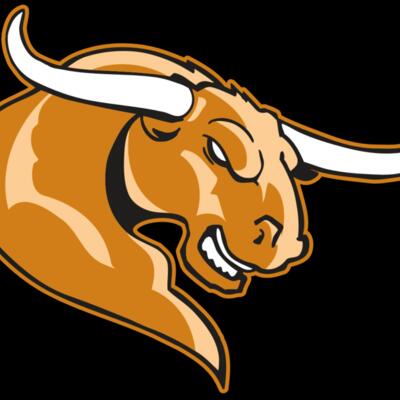 AR BULL 14 RC Thumbnail