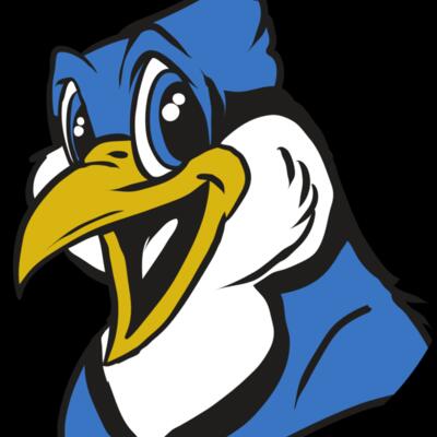 AR31 BLUEJAY 01 RQC Thumbnail