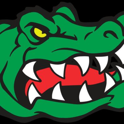 AR GATOR 19 RQC Thumbnail