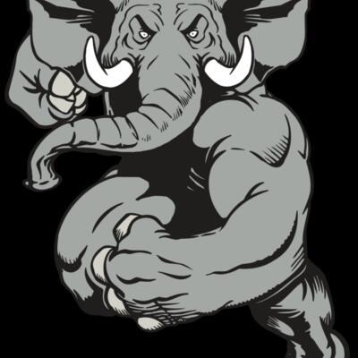 AR ELEPH 18 RC Thumbnail