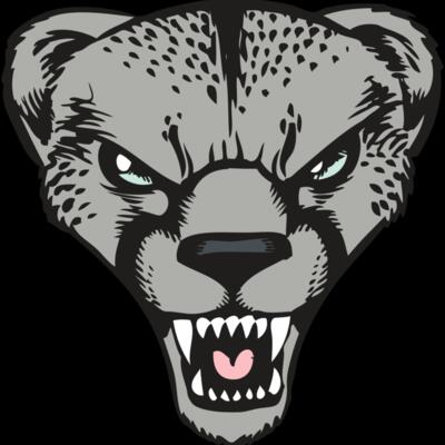 BAW CHEETAH 15 RC Thumbnail