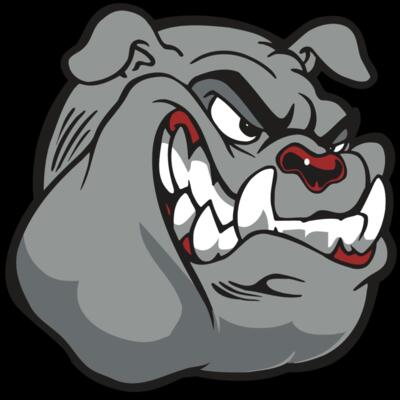 AR BDOG 13 RC Thumbnail