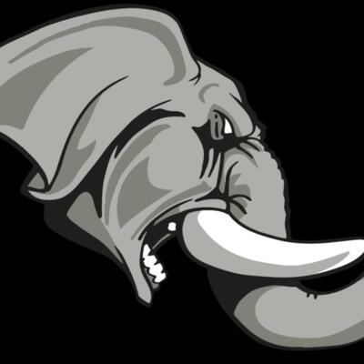 AR ELEPH 20 RC Thumbnail