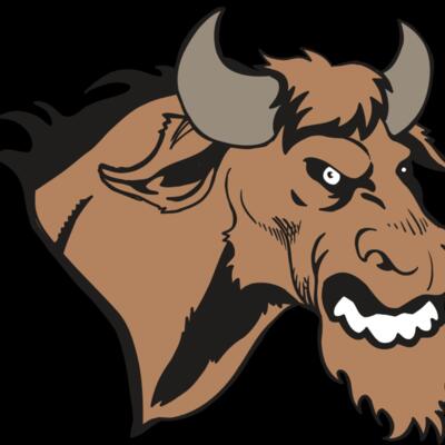 AR5 BULL 09 RQC Thumbnail