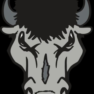 AR BUFFALO 15 RC Thumbnail