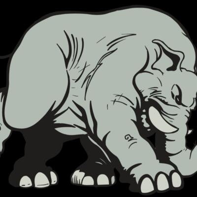 AR5 Elephant 08 RQC Thumbnail