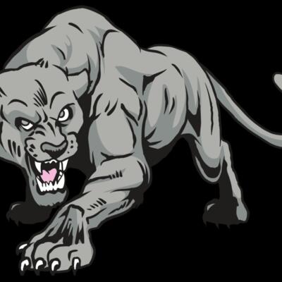 AR31 COUGAR 01 RQC Thumbnail