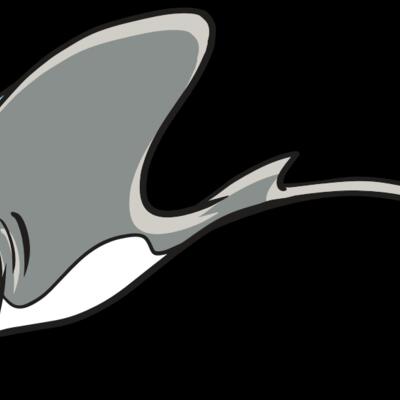 AR19 STINGRAY 01 RQC Thumbnail