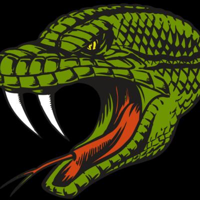 BAW SNAKE 14 RC Thumbnail