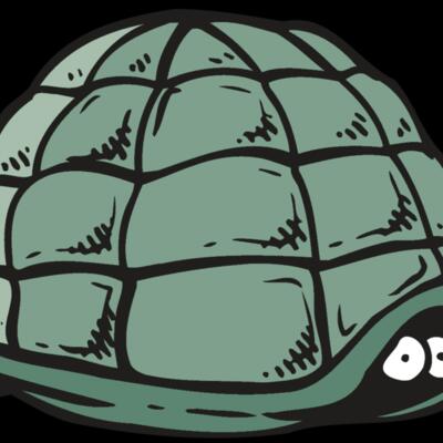 AR5 Turtle 10 RQC Thumbnail