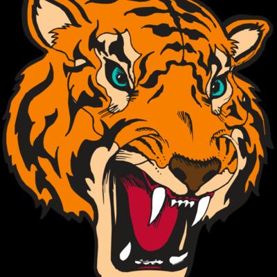 BAW TIGER 12 RC Thumbnail