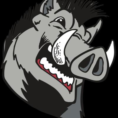 AR RAZORBACK 15 RC Thumbnail