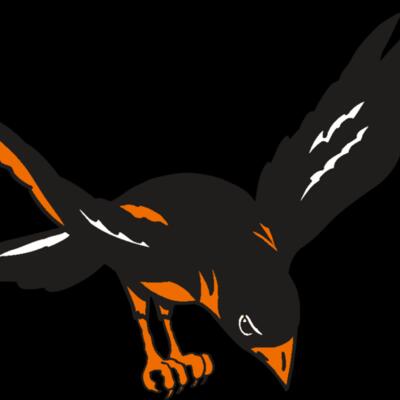 AR ORIOLE 16 RC Thumbnail