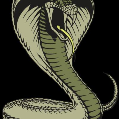 BAW SNAKE 07 RC Thumbnail