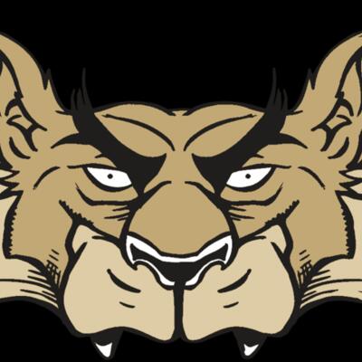 AR5 Wolf 28 RQC Thumbnail