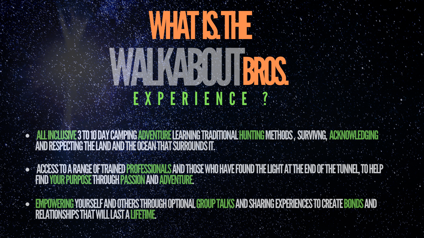 Walkaboutbrosdownunder