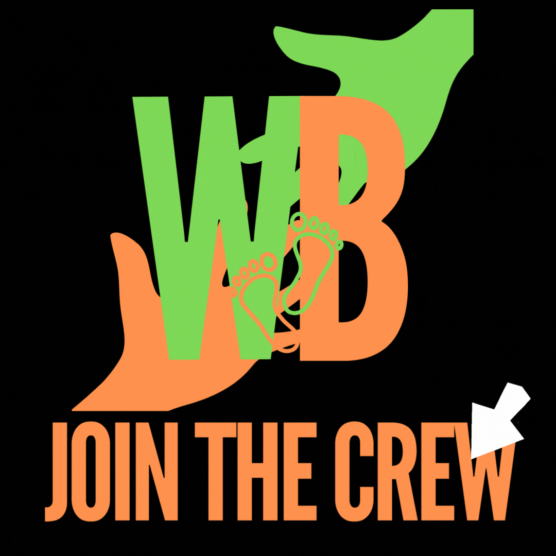 Walkaboutbrosdownunder