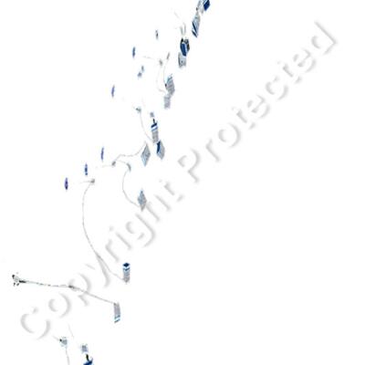 C 17 Black Thumbnail