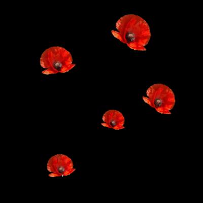 F5F70853 12A0 46FA A6C5 DEC159E28E9A Thumbnail