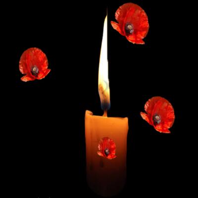 BED5F4CA EB49 4DE0 A036 F2677B5D9F13 Thumbnail